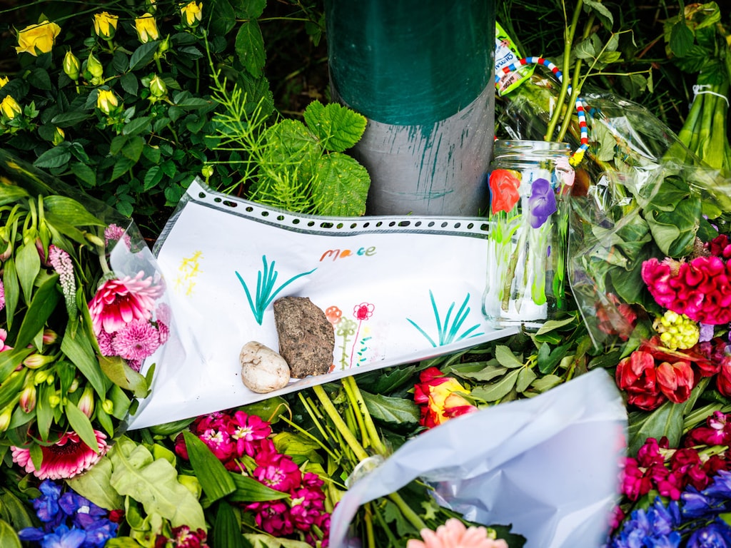 Man (35) die vastzit na dood jeugdtrainer, kreeg eerder tbs