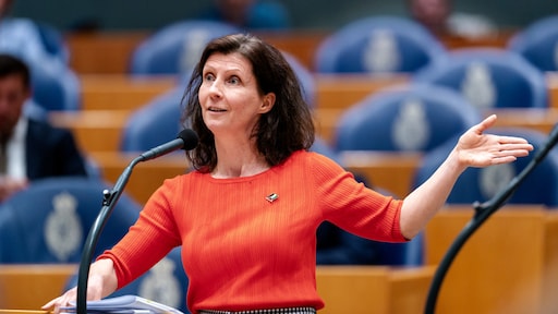 Esther Ouwehand stopt als leider Partij voor de Dieren