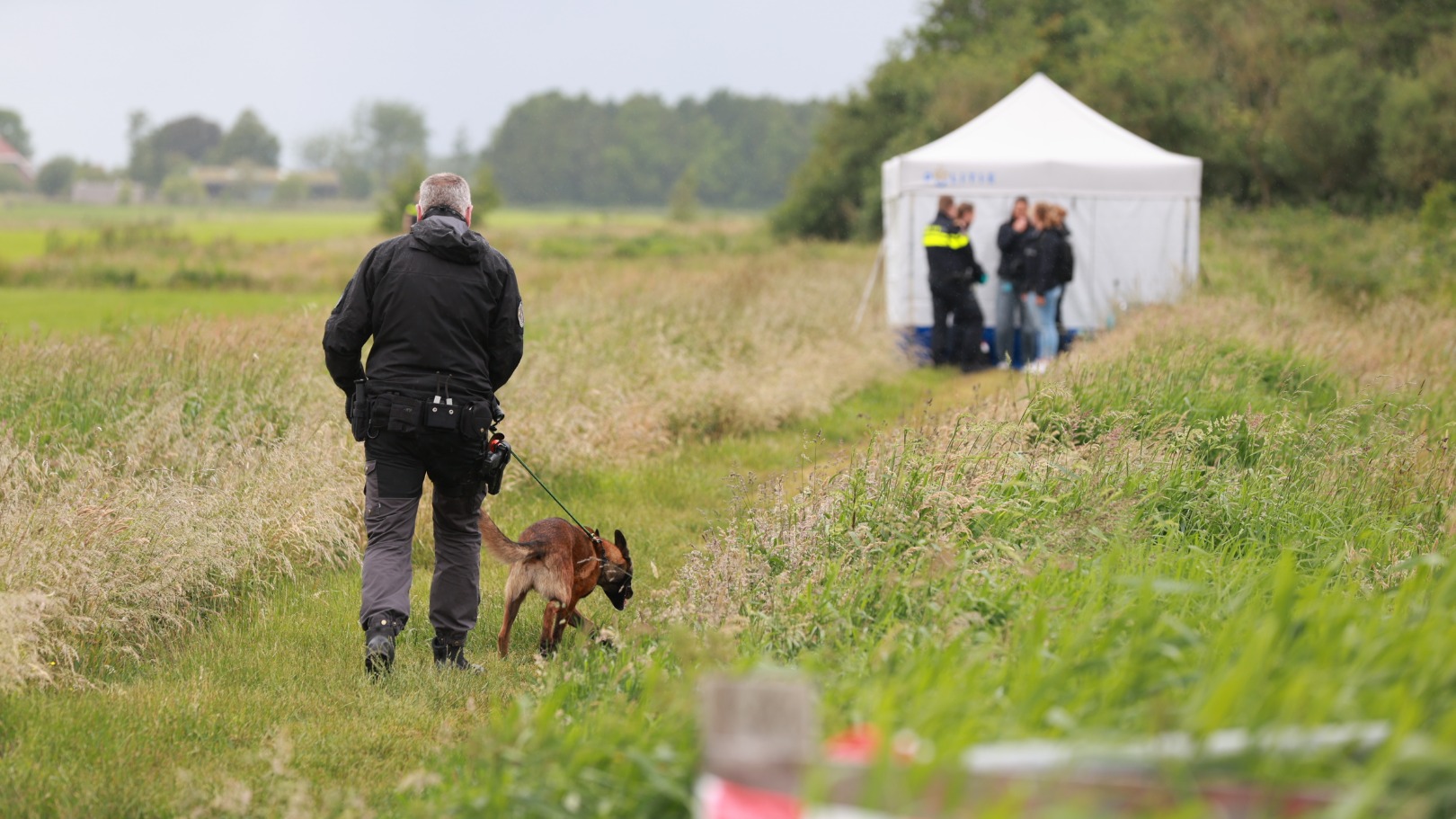 Dode vrouw gevonden in weiland, politie weet niet wie het is