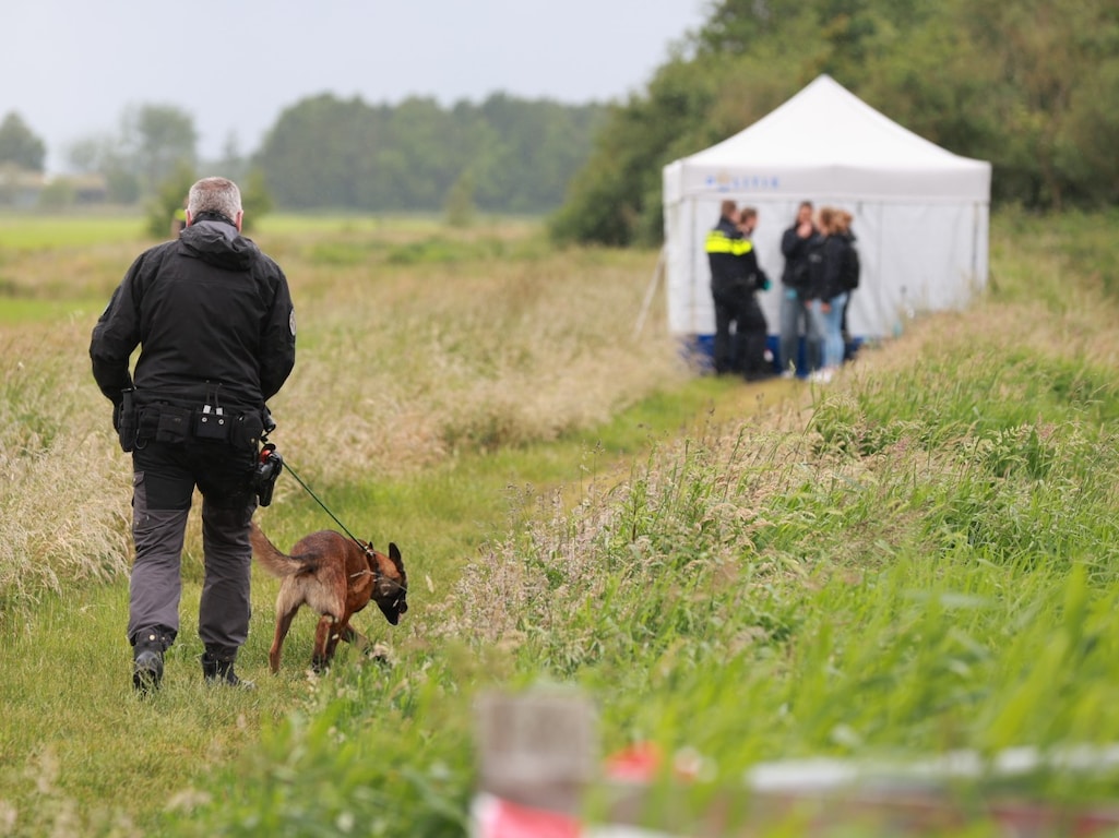 Dode vrouw gevonden in weiland, politie weet niet wie het is