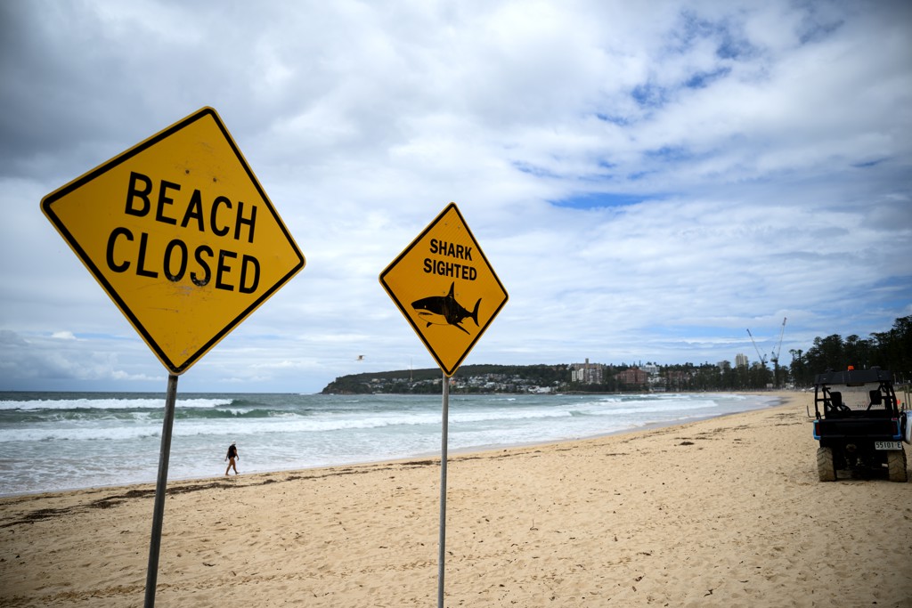 Man doodgebeten door haai in Australië, derde slachtoffer in drie weken