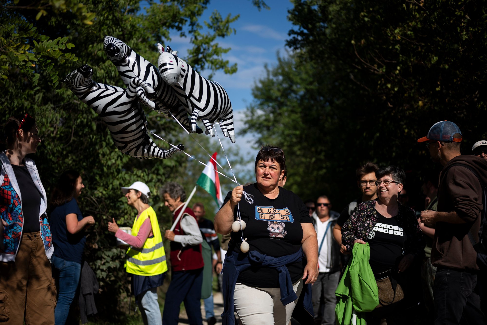 Hongarije start onderzoek naar verdwenen zebra's v