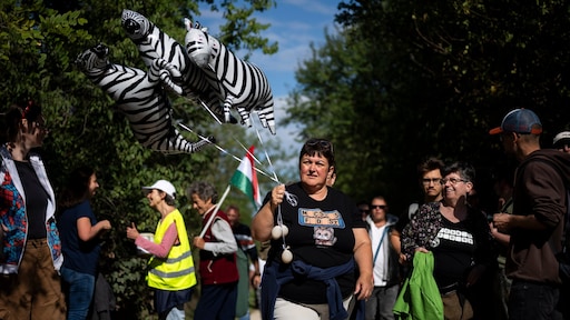 Mysterie rond zebra's Viktor Orbán: zijn ze dood?