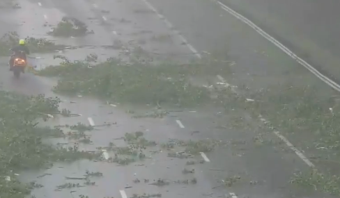 A15 bezaaid met takken na fikse bui, Rijkswatersta