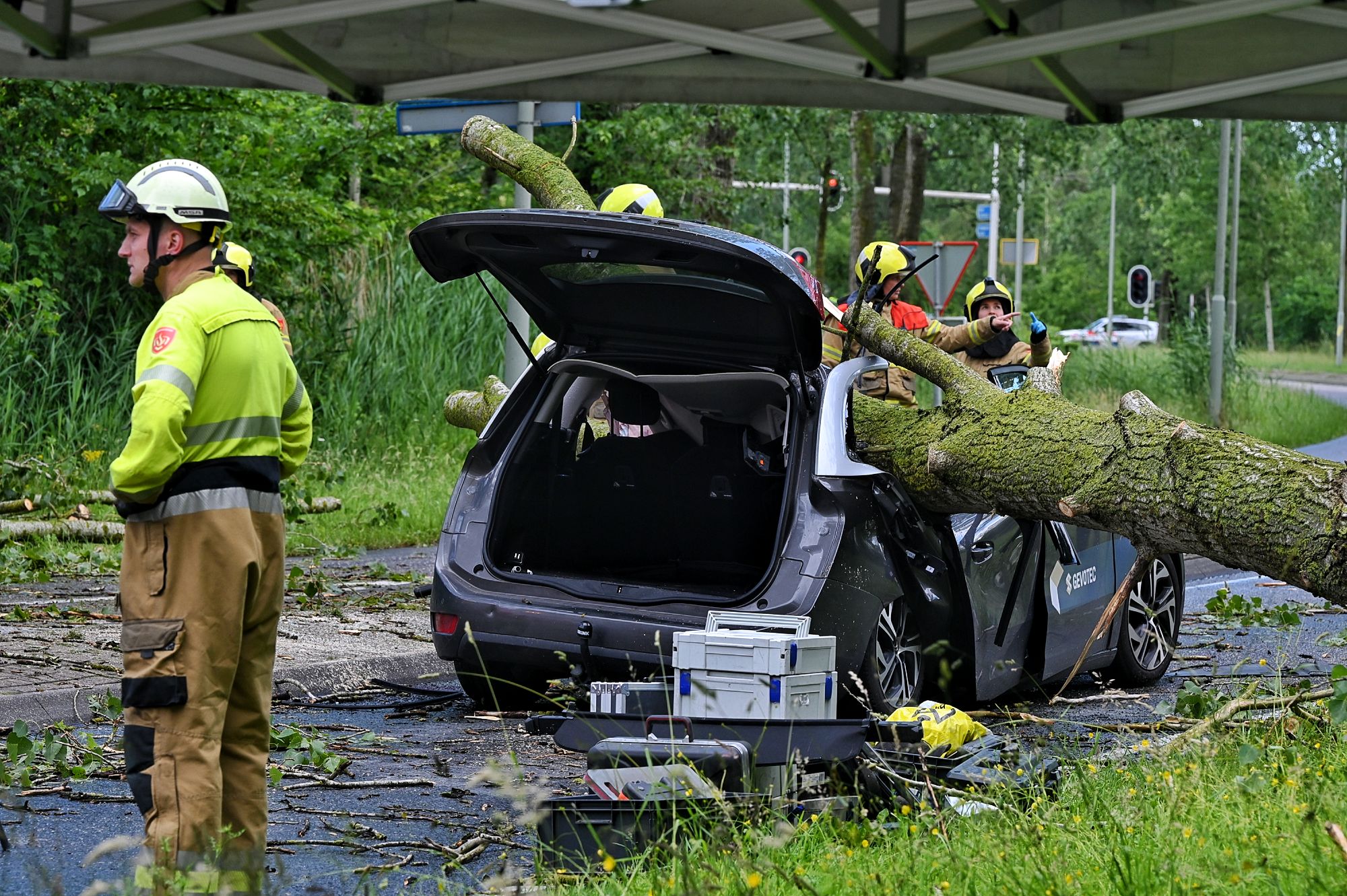 Automobilist komt om door omvallende boom in Boxtel, code ge