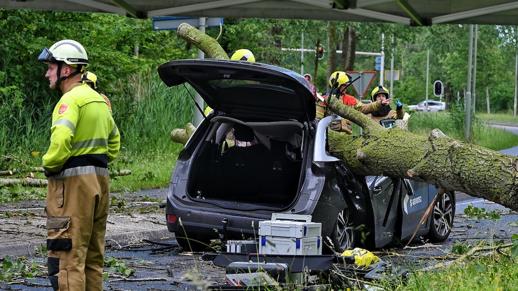 Automobilist komt om door omvallende boom, code geel om onweer