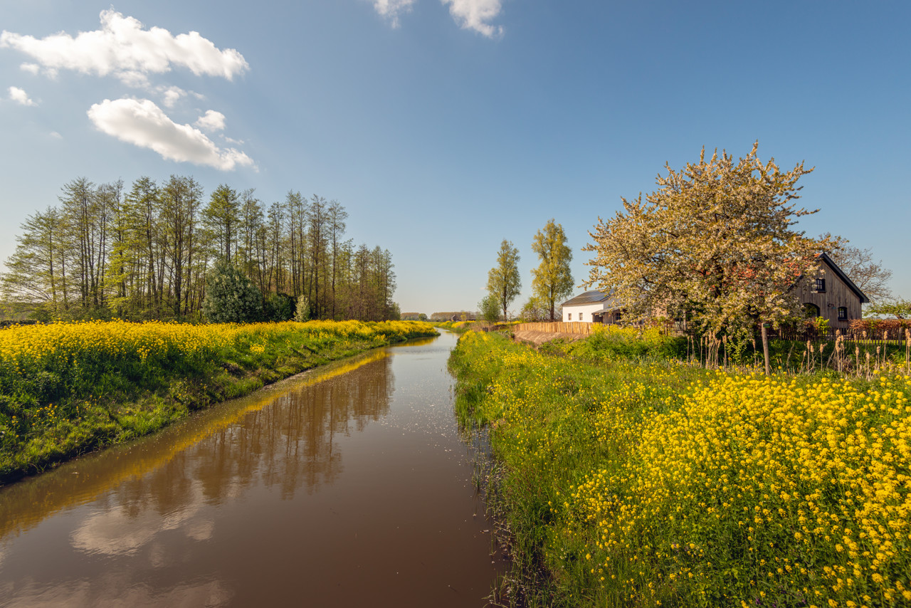 Natuurorganisaties waarschuwen voor achteruitgang 