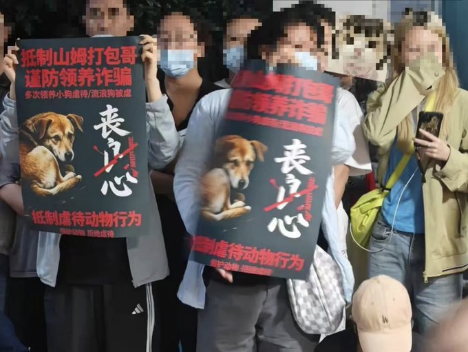 Public Outcry in China Over Animal Abuse Sparks Protests and Calls for Reform
