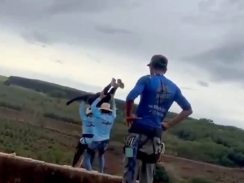Veiligheidstouw zat niet vast: vrouw overleden bij bungeejump in Brazilië