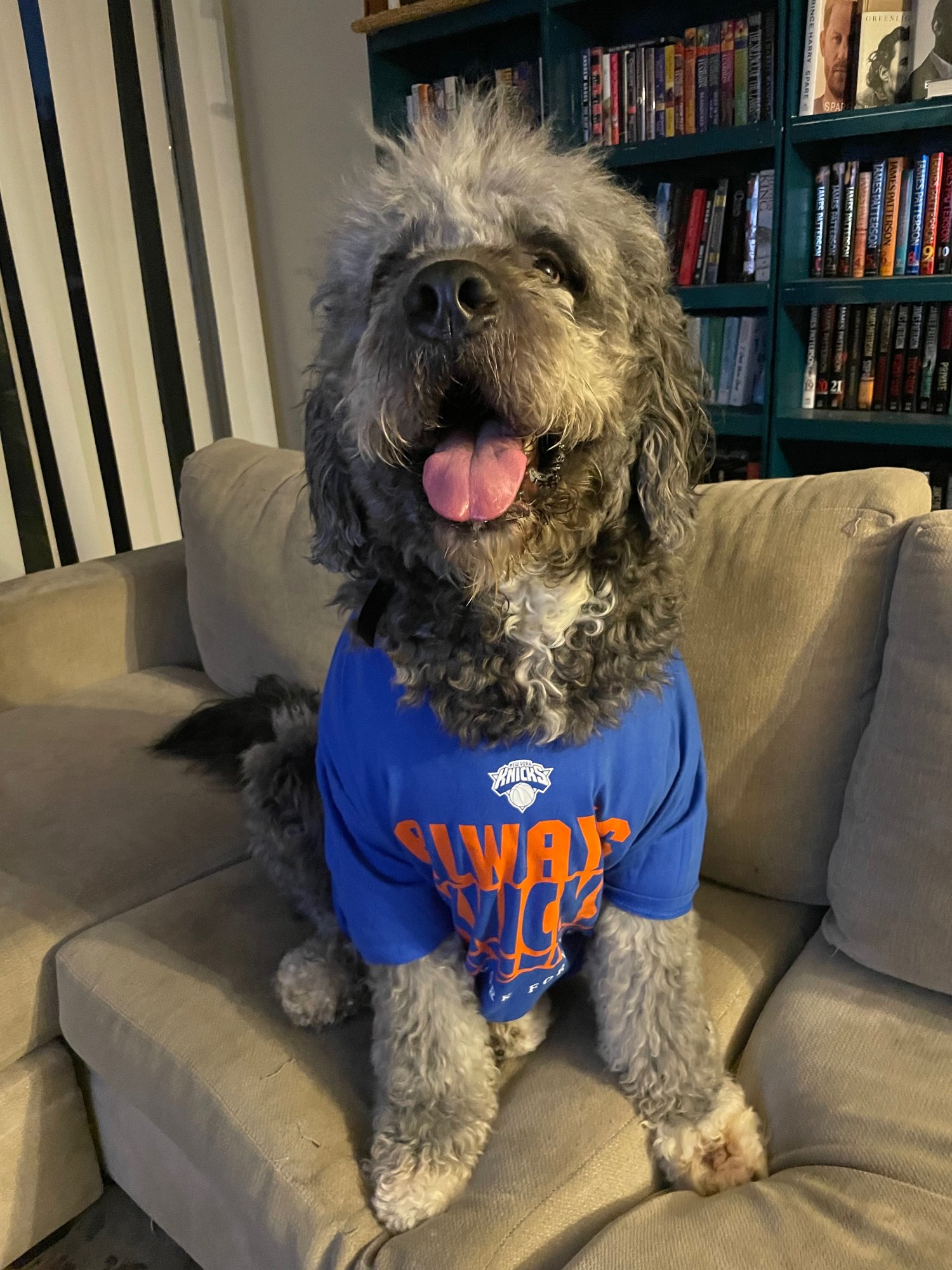 New York Knicks Victory Sparks Controversial Dog Shooting Incident