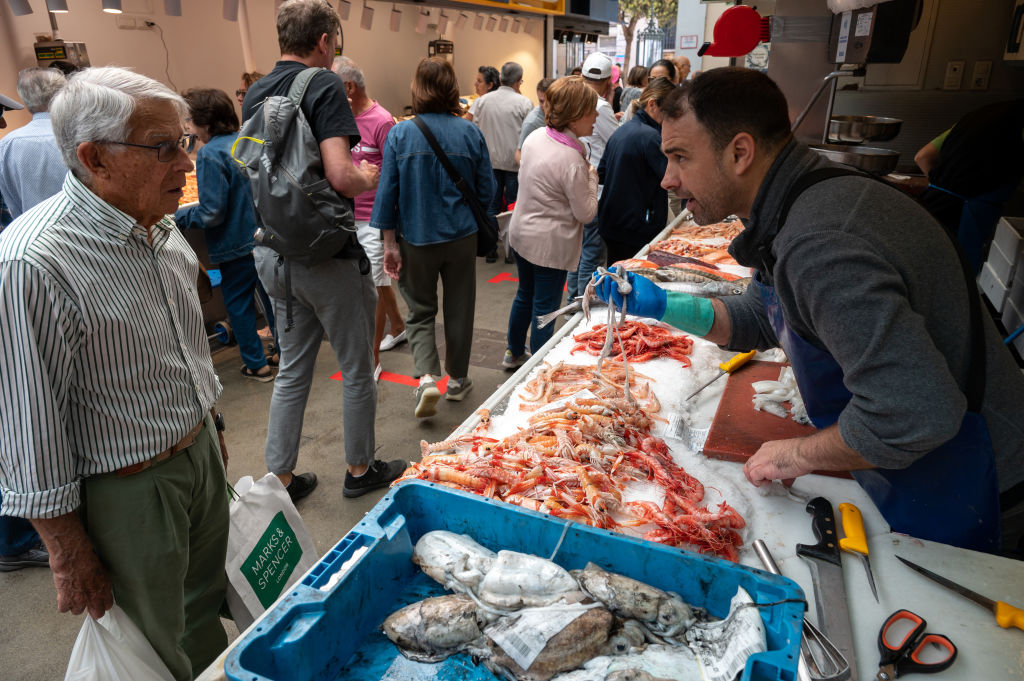 Inktvis rukt op in Noordzee, nieuwe inkomstenbron voor vissers