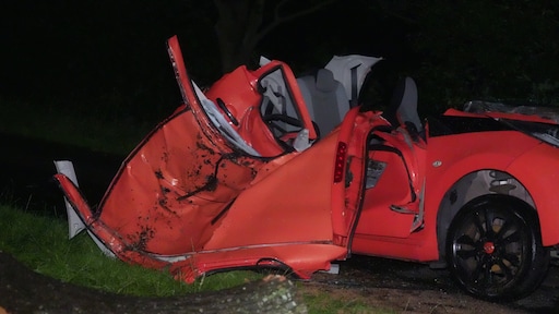 Schade door noodweer: dode door omgevallen boom, festival afgelast
