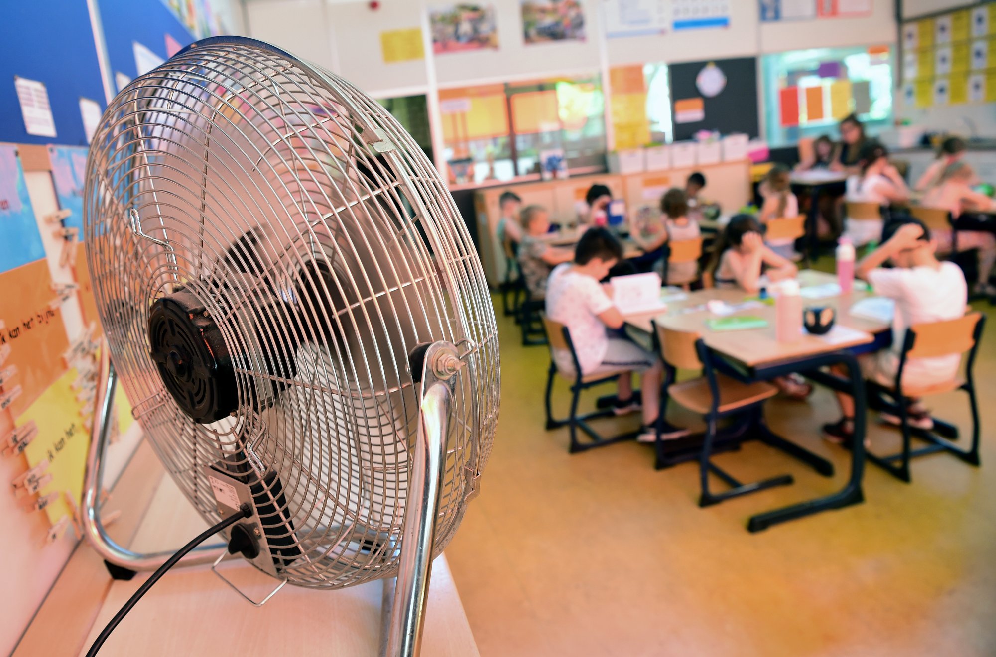 Tropenrooster op scholen in het land, kopzorgen bij ouders: 'Altijd gedoe'