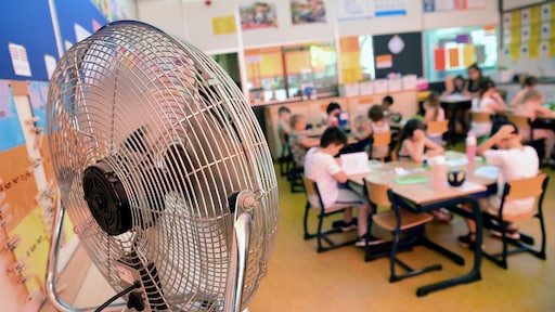 Tropenrooster op scholen in het land, kopzorgen bij ouders: 'Altijd gedoe'