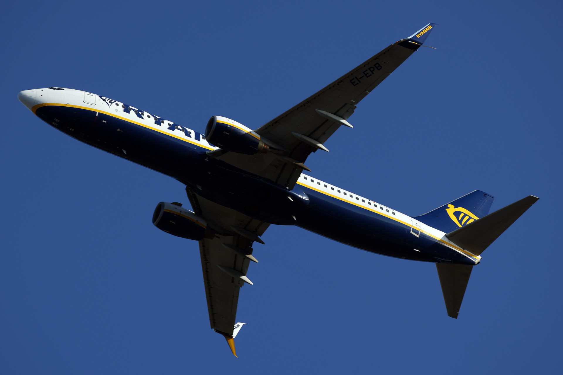 Ryanair Vliegtuig In De Lucht