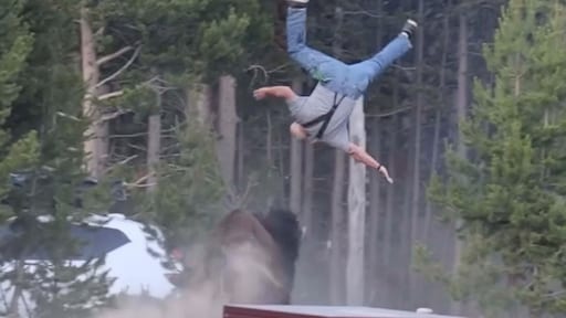 Slachtoffer bizonaanval Yellowstone: 'Hij had me kunnen doden'