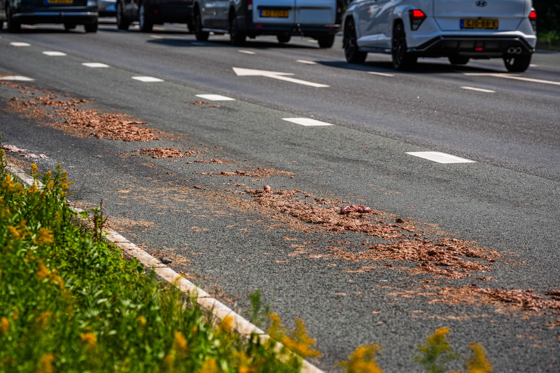 Vrachtwagen verliest slachtafval in Best: kilometerslang stinkend spoor