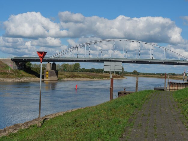 Omstanders redden hond die in de IJssel wordt meegesleurd