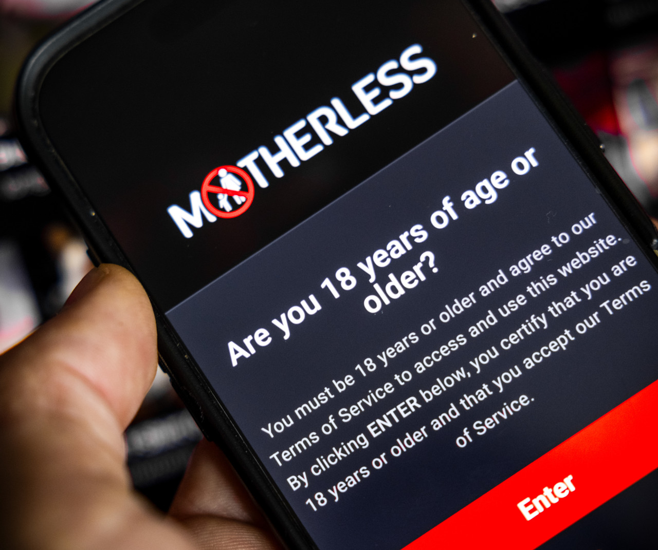 Servers pornosite Motherless in beslag genomen bij politie-invallen