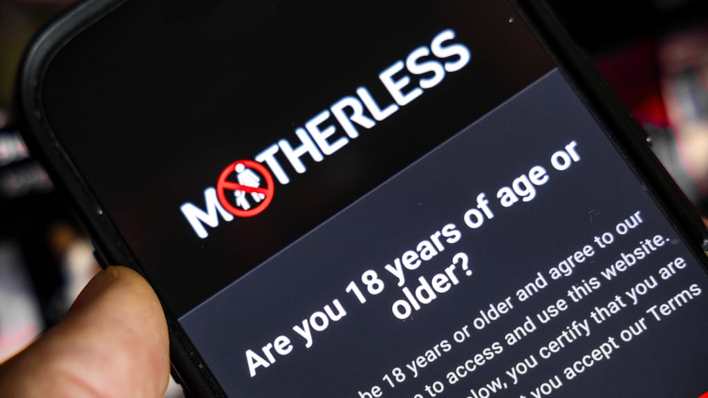 Image for the article: Servers pornosite Motherless in beslag genomen bij politie-invallen