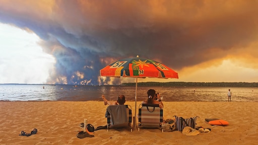 Fotograaf over iconische foto bosbrand: 'We gaan er toch allemaal aan'
