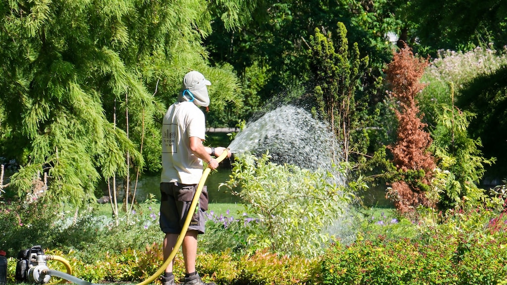 Image for the article: Water besparen: wat kun je zelf doen en wat levert het op?