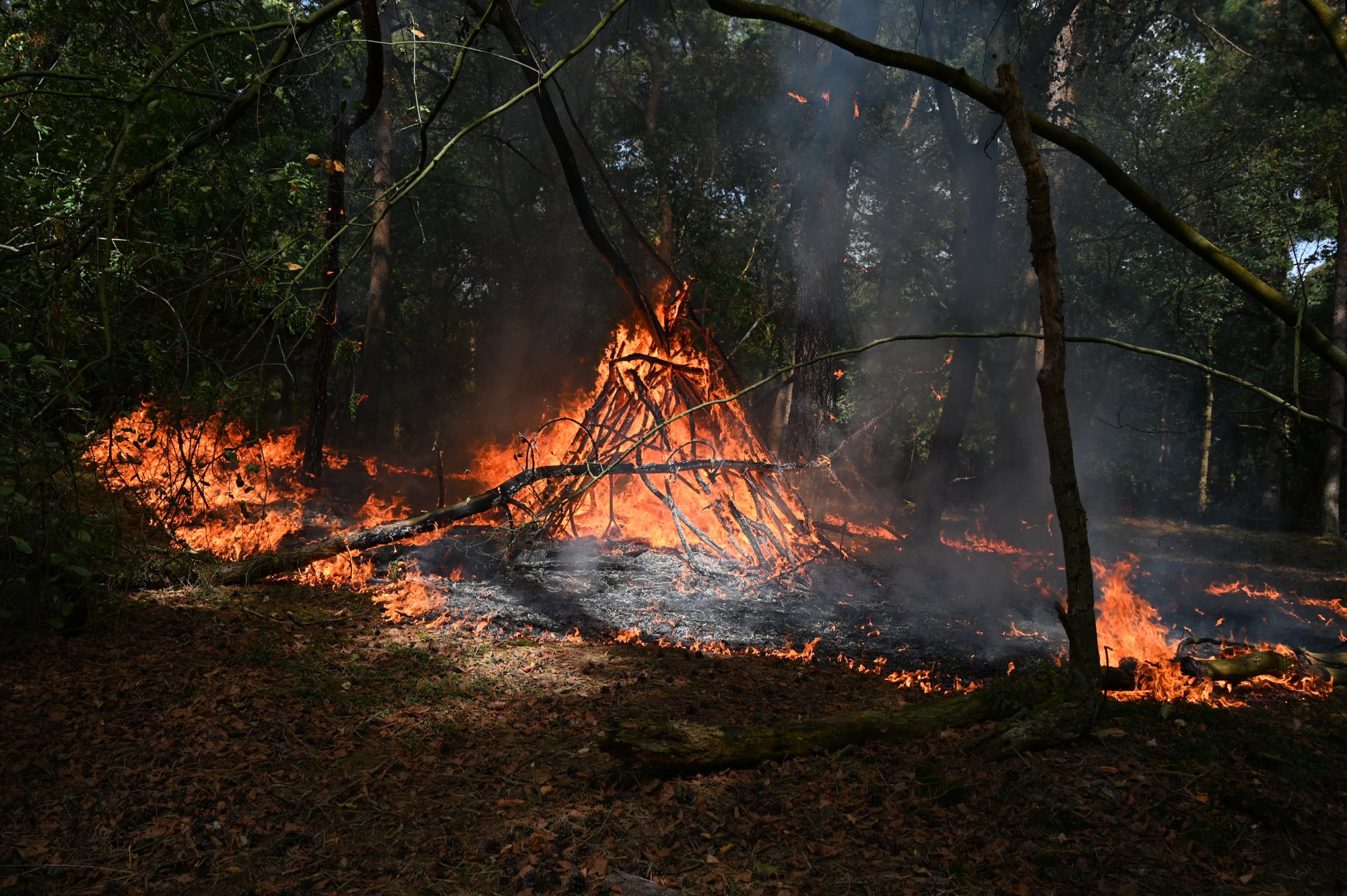 Drie natuurbranden tegelijk in Wijchen, oorzaak onbekend