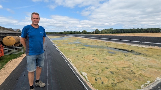 Zo probeert deze Zeeuwse boer zijn oogst van de droogte te redden