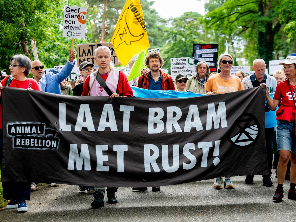 Aangifte tegen jagers die wolf Bram doodschoten, want ze waren te laat