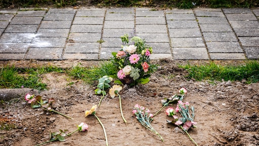 Vorig jaar 103 mensen vermoord, laagste aantal in dertig jaar