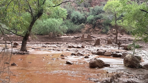 Zeker één dode door zware overstroming Grand Canyon, tientallen evacués