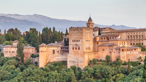 Jongeren vernielen 800 jaar oude pilaar in het Alhambra in Granada