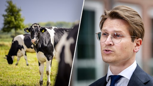 Boerenorganisaties willen aanpassingen stikstofpakket na oordeel PBL