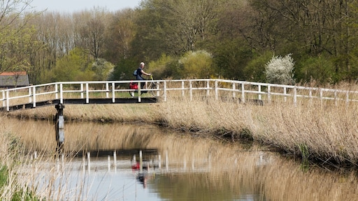 Aanrandingen in natuurgebied Delft: burgemeester Pechtold waarschuwt