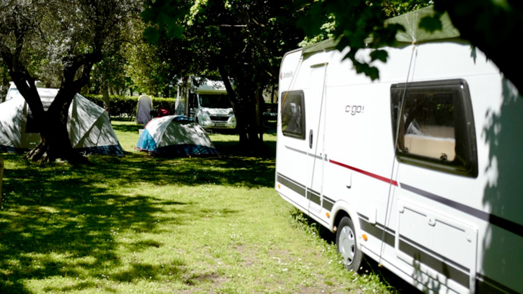 Image for the article: Jaloerse vrouw (58) opgepakt om bestelde huurmoord op camping: 'Laat het op een ongeluk lijken'