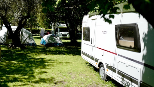 Jaloerse vrouw (58) opgepakt om bestelde huurmoord op camping