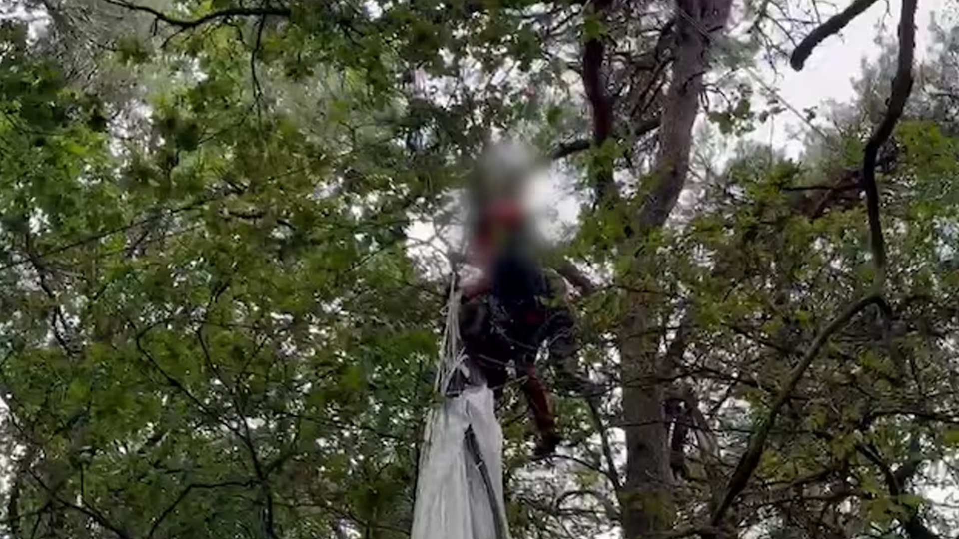 Militaire parachutisten vanuit Eindhoven in Belgische bomen beland