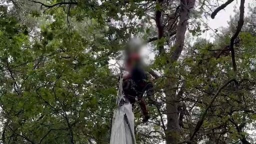 Militaire parachutisten vanuit Eindhoven in Belgische bomen beland