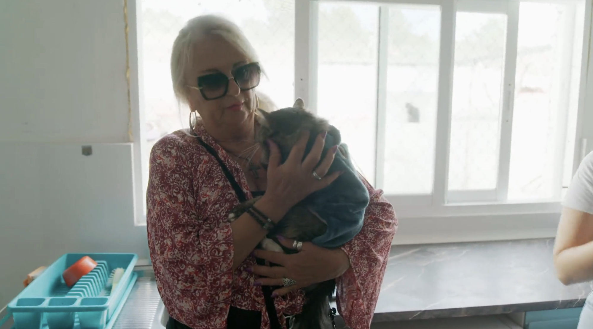 Monique Hansler adopteert gewonde asielkat Balou