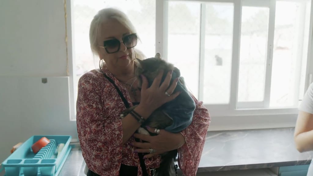 Monique Hansler adopteert gewonde asielkat Balou