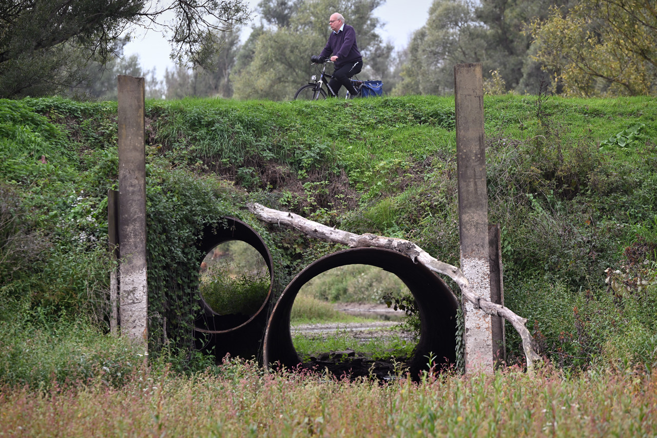 De regen is niet genoeg: nog altijd problemen door droogte