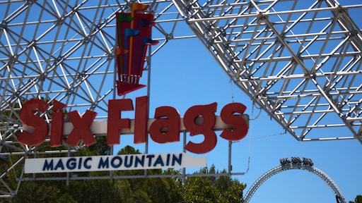 Achtbaan Six Flags onder vuur: 'Hersenletsel bij meer dan honderd bezoekers'