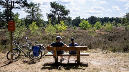 Volgende week gaat kwik omhoog naar uitzonderlijke temperaturen