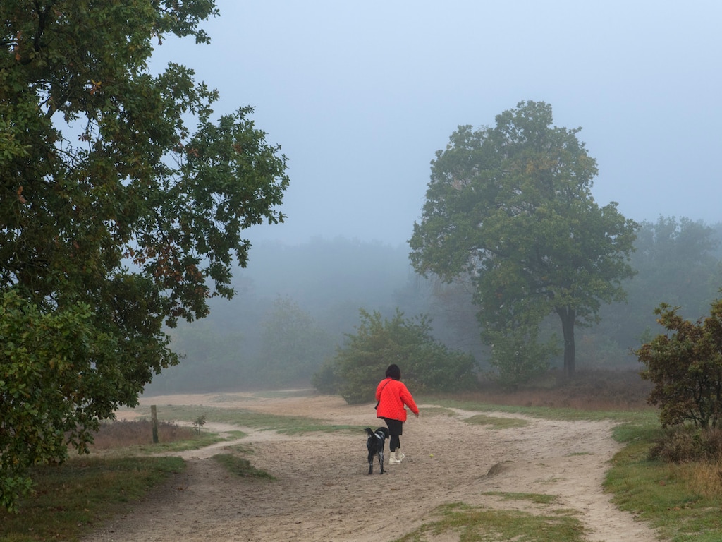 Voor het eerst sinds de zomer nachtvorst