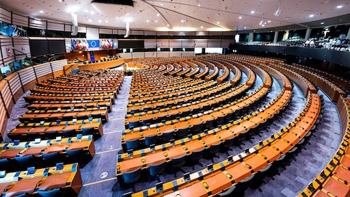 Leden PRO kiezen voor de sociaaldemocraten in EU-parlement