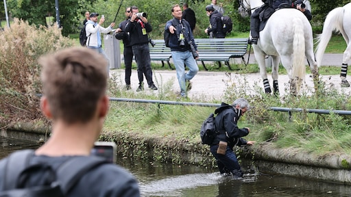 Politie betaalt nieuwe apparatuur voor fotograaf die in water werd geduwd