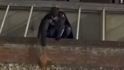 Britse 'Batman' jaagt tasjesdief op en geeft buit terug aan eigenaresse