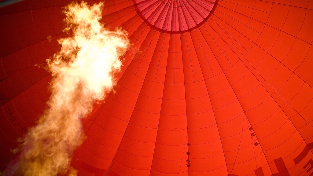 Papegaaienpaar van 55.000 euro dood door stress van luchtballon