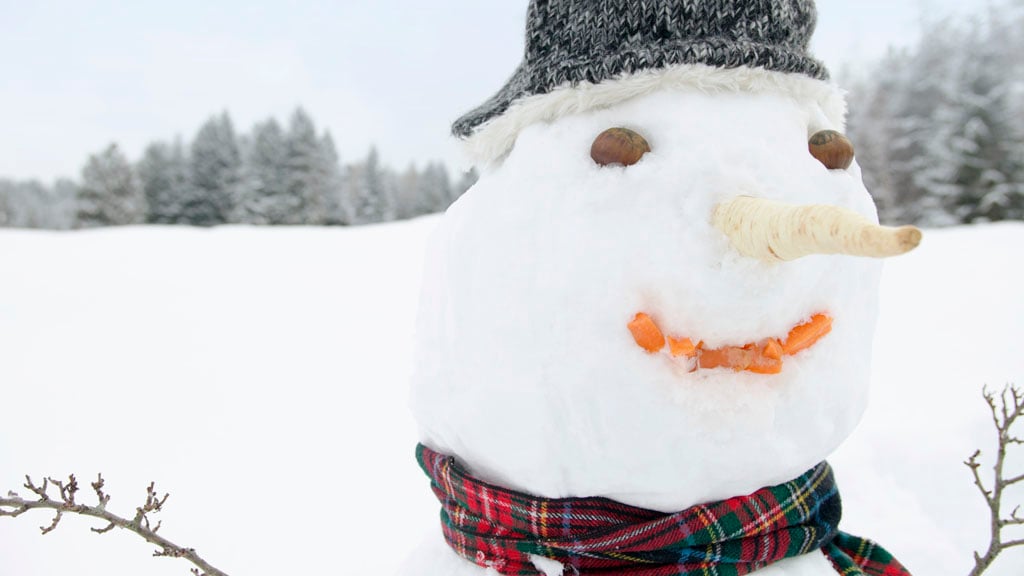 Sneeuwliefhebbers opgelet: vrijwel overal wordt het wit