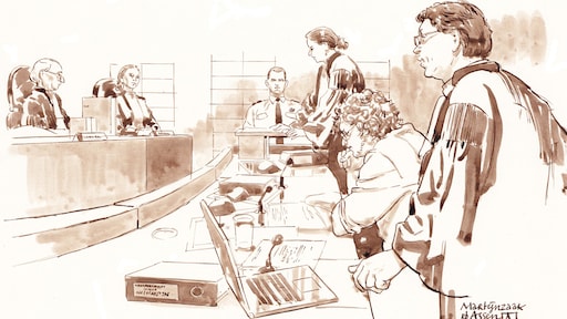 Hoogleraar: Verbod Martijn kan leiden tot nieuw misbruik